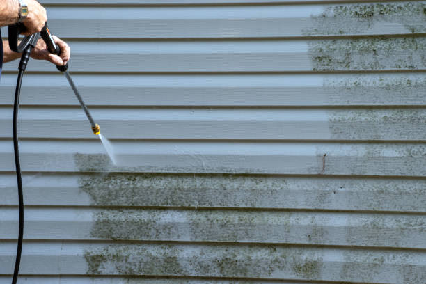 Best Insulated Siding Installation  in Bear Creek, AL
