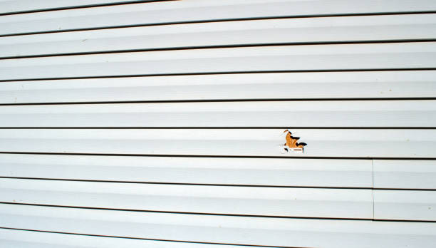 Best Residential Vinyl Siding Installation  in Bear Creek, AL