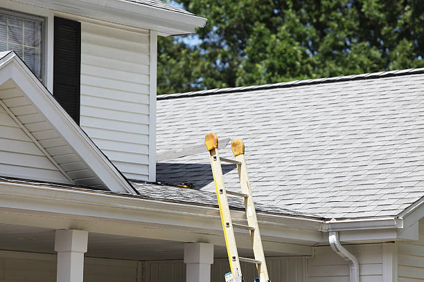 Trusted Bear Creek, AL Siding Installation & Repair Experts